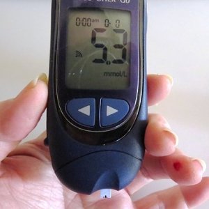 Diabetes checking device